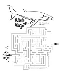 Whale Maze Link