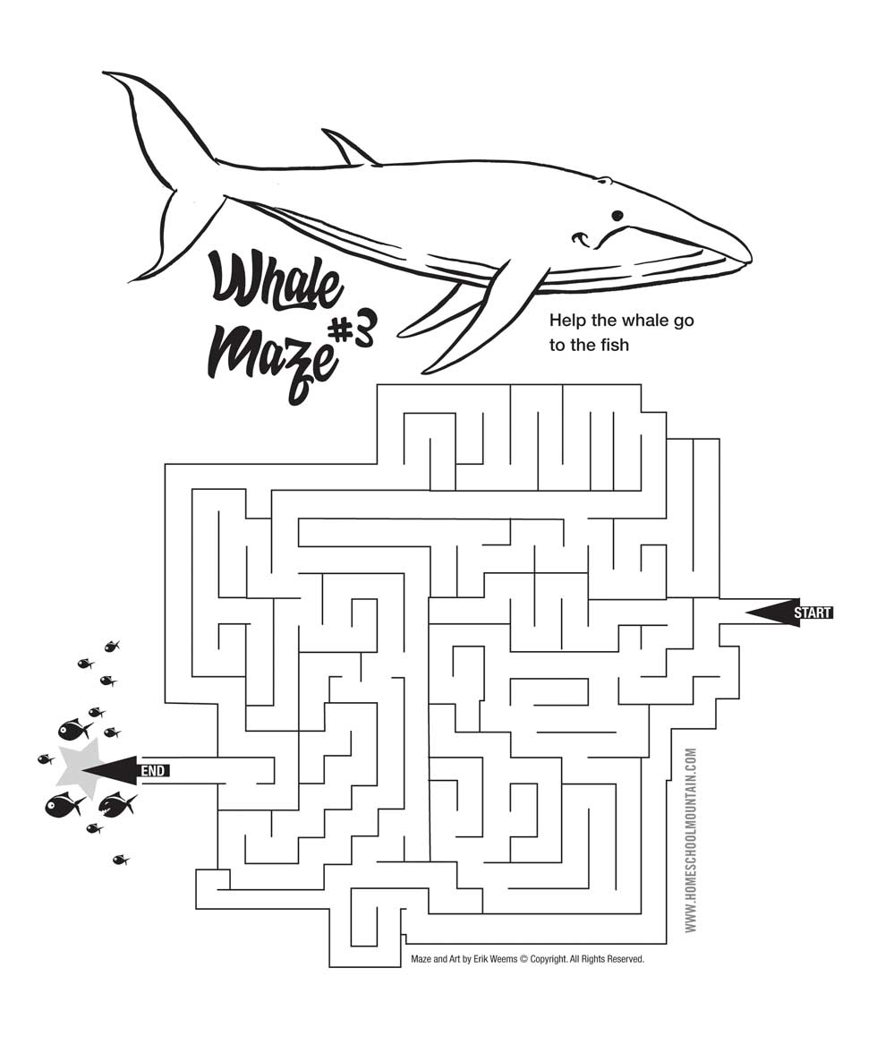 Whale Maze Number 3 - Free for kids and Adults